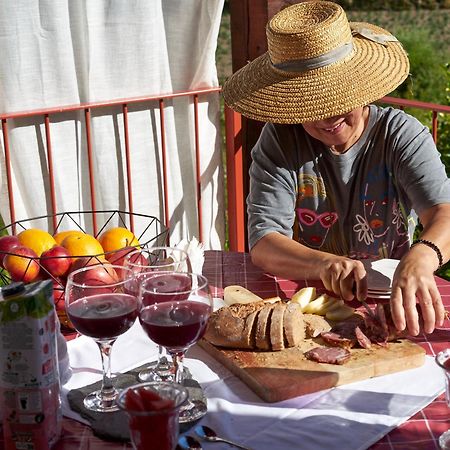 Quinta Da Peca Douro Vinhateiro Вила-Реал Экстерьер фото