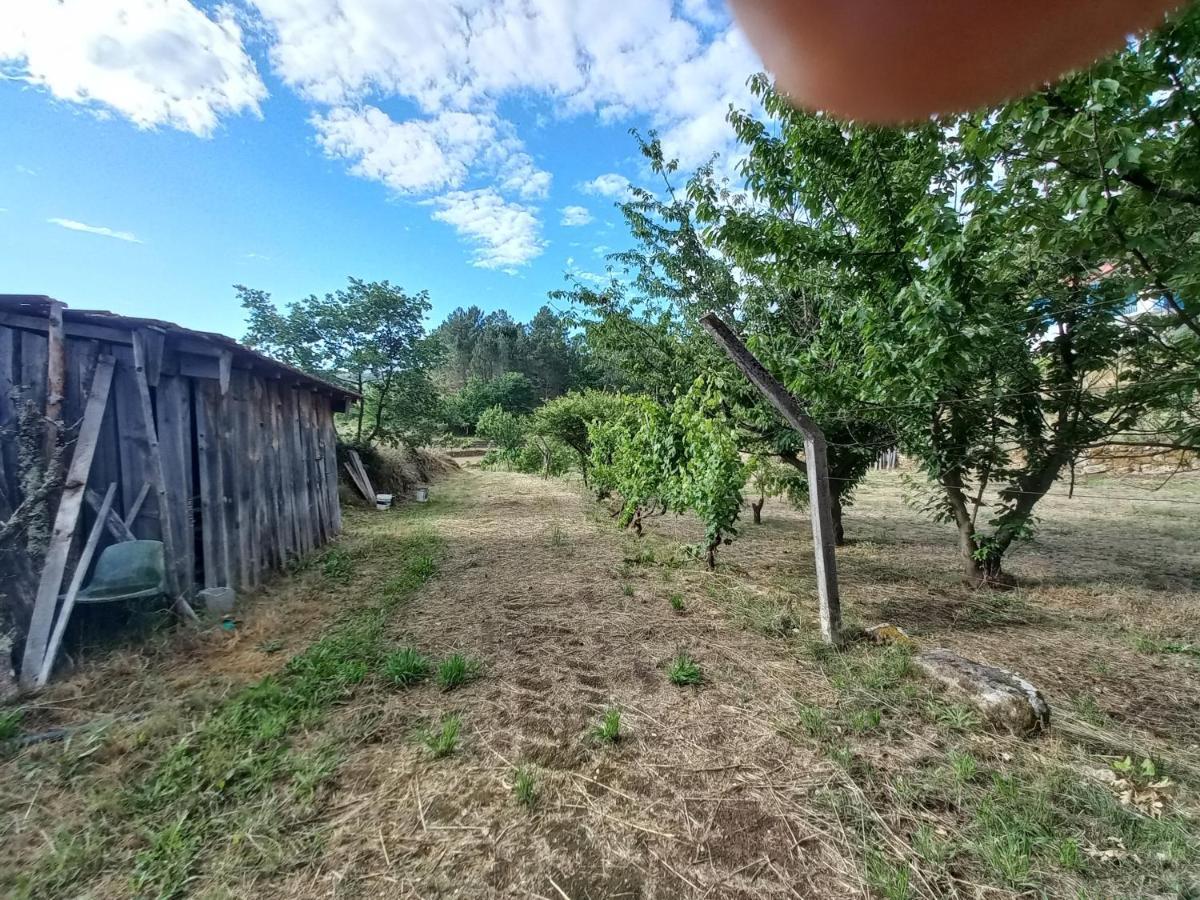 Quinta Da Peca Douro Vinhateiro Вила-Реал Экстерьер фото