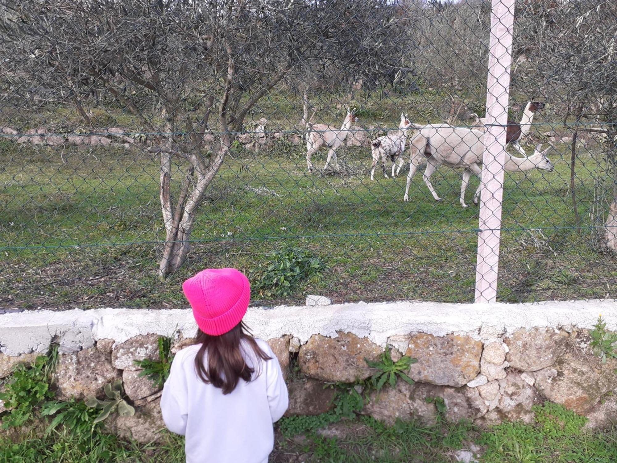 Quinta Da Peca Douro Vinhateiro Вила-Реал Экстерьер фото