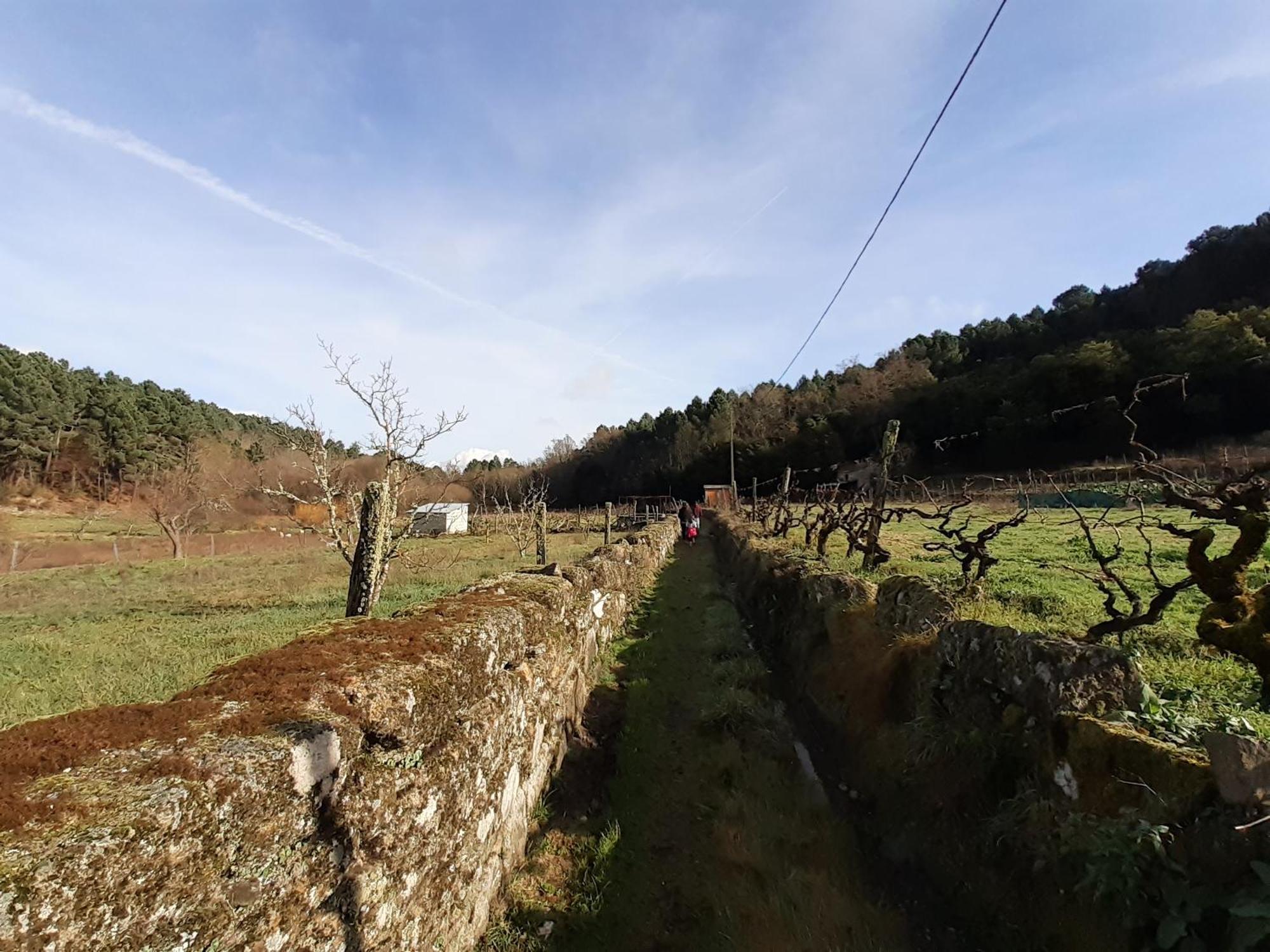 Quinta Da Peca Douro Vinhateiro Вила-Реал Экстерьер фото