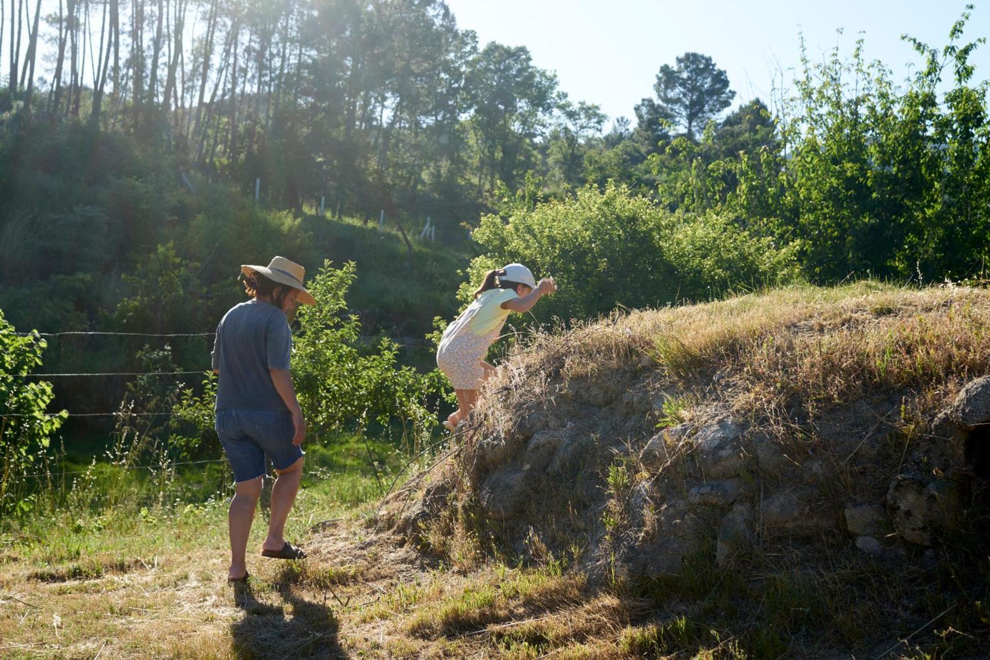 Quinta Da Peca Douro Vinhateiro Вила-Реал Экстерьер фото